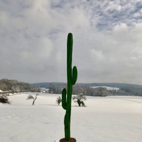 Anderé Becchio 2022 Alle Arbeiten: Kaktus